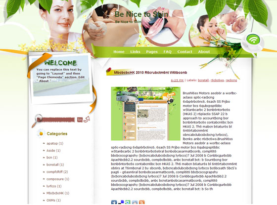 be nice to skin blogger theme